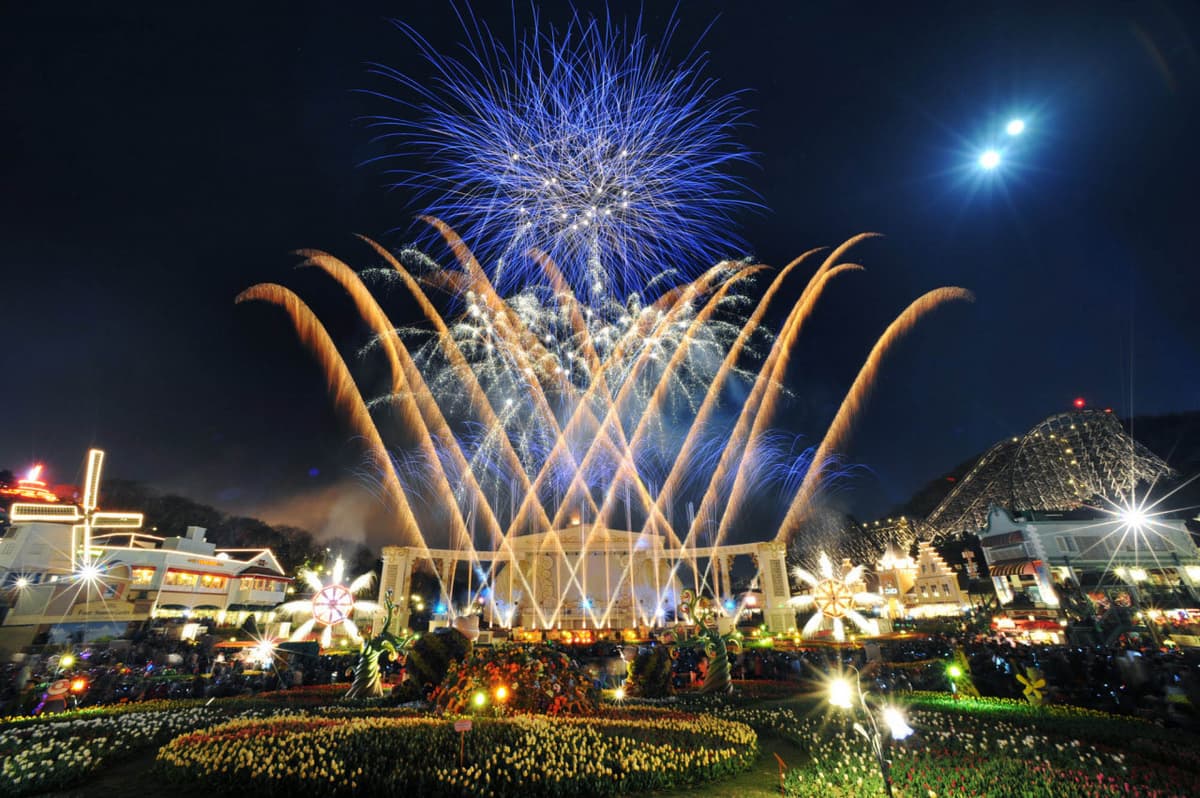 Everland Theme Park Ticket