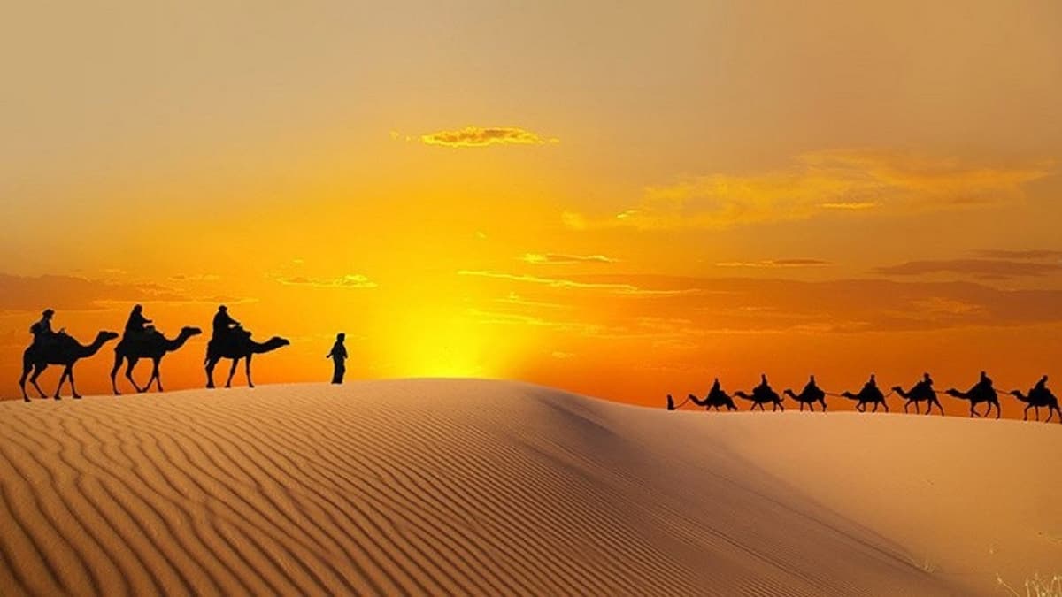 Liwa Desert Safari Tour
