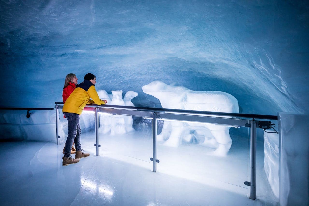 Jungfraujoch: Roundtrip Train from Grindelwald