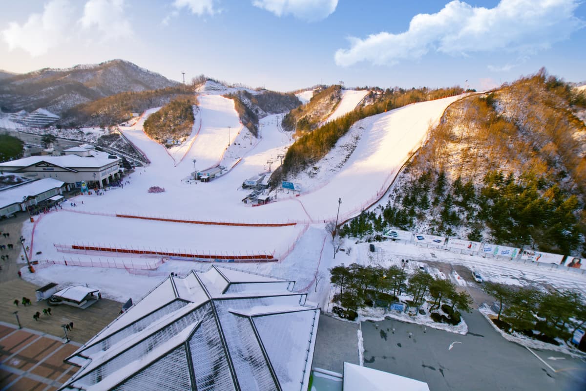 Elysian Gangchon Ski Resort and Nami Island Full-Day Tour from Seoul