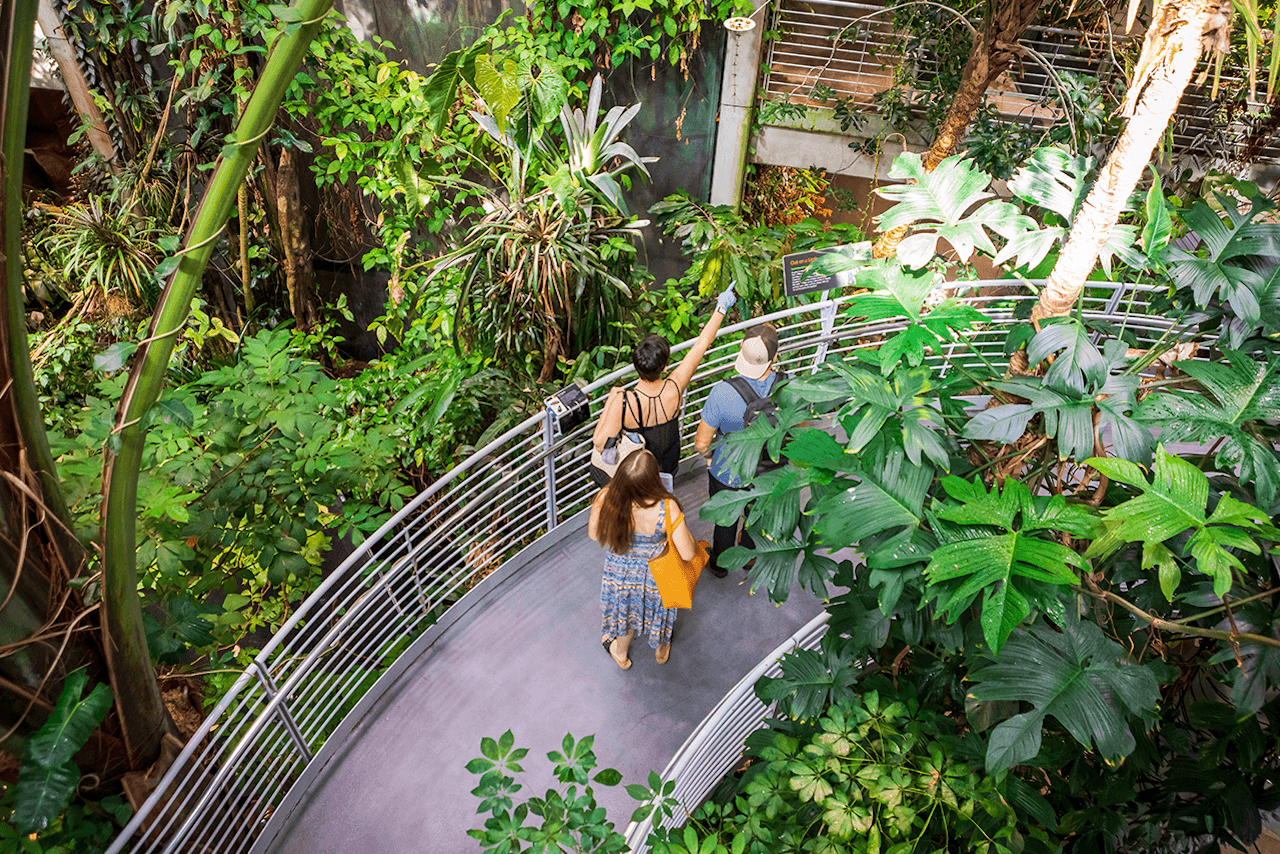 California Academy of Sciences Ticket
