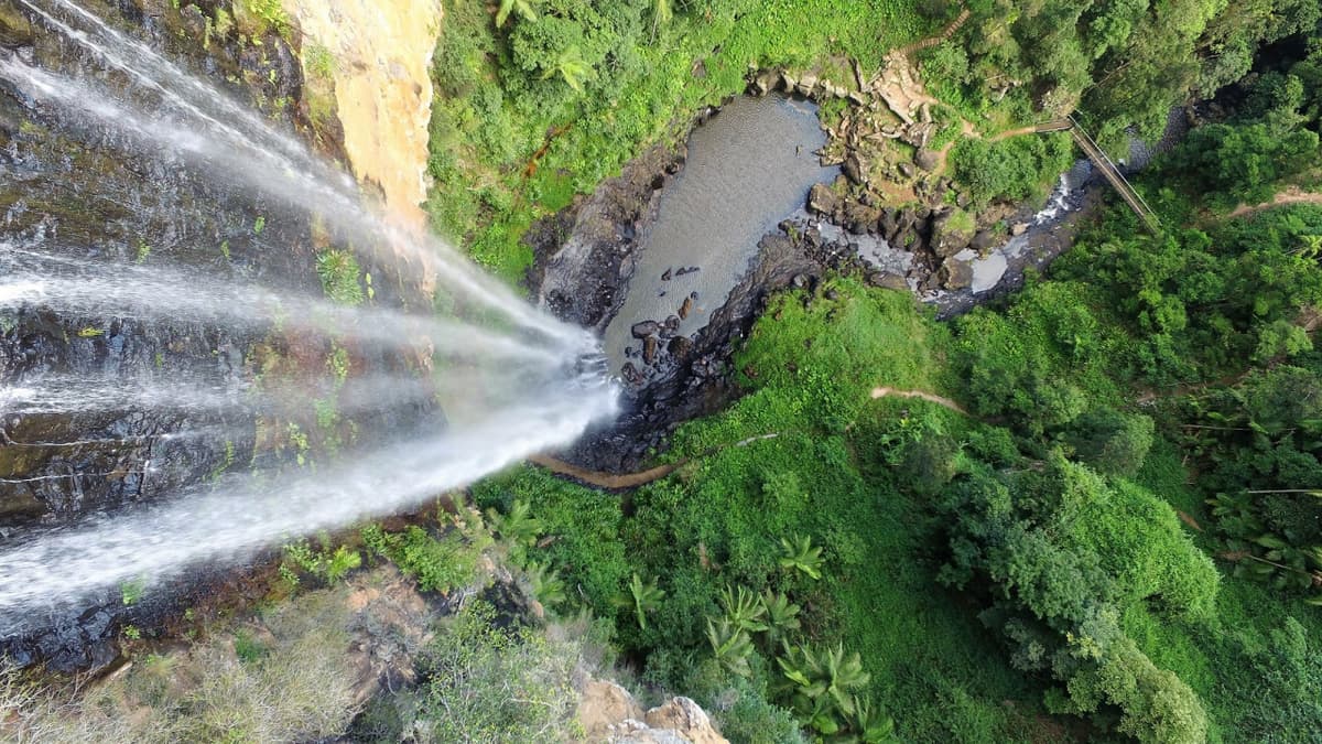 Springbrook National Park Tour: Natural Bridge and Waterfalls