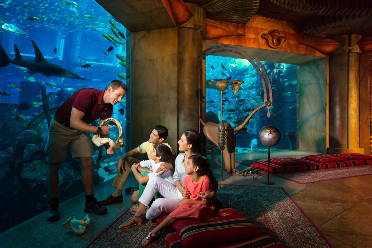 COMBO: The View at The Palm + Lost World Aquarium
