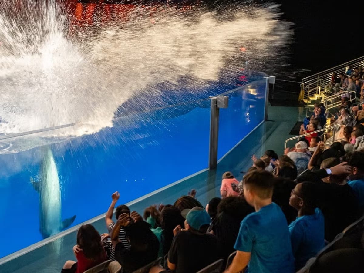 Georgia Aquarium: Fast Track Ticket