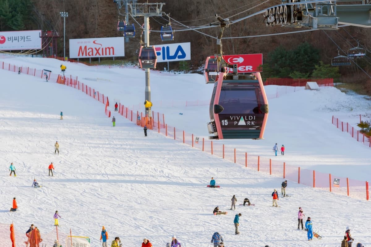 Vivaldi Park Ski World and Nami Island Full-Day Tour from Seoul