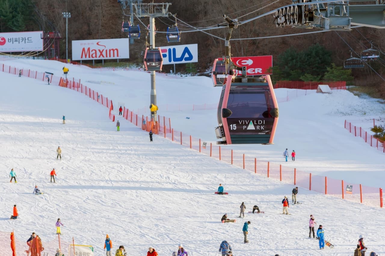 Vivaldi Park Ski World and Nami Island Full-Day Tour from Seoul