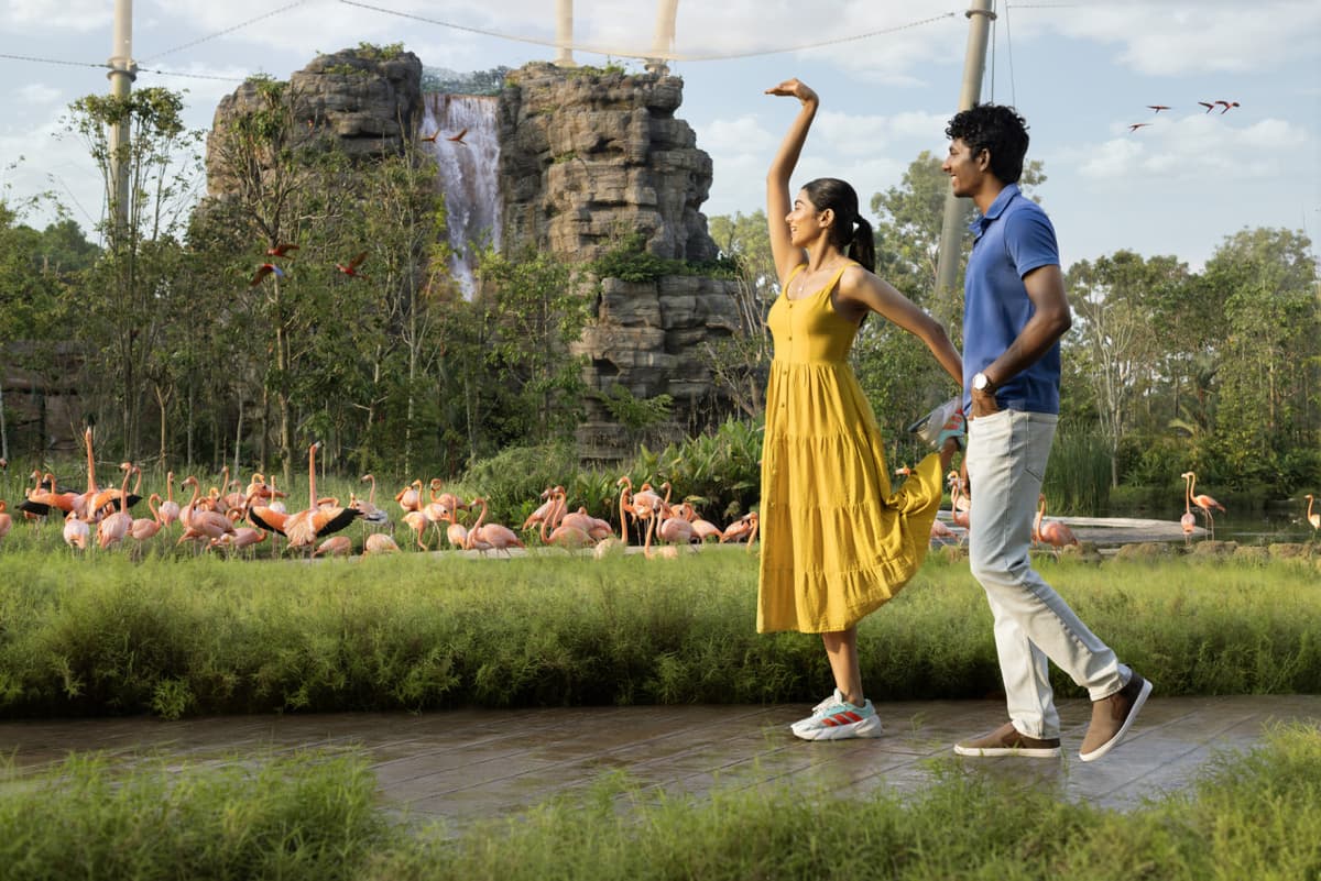 2-Park Destination Pass: Singapore Night Safari + Bird Paradise Tickets