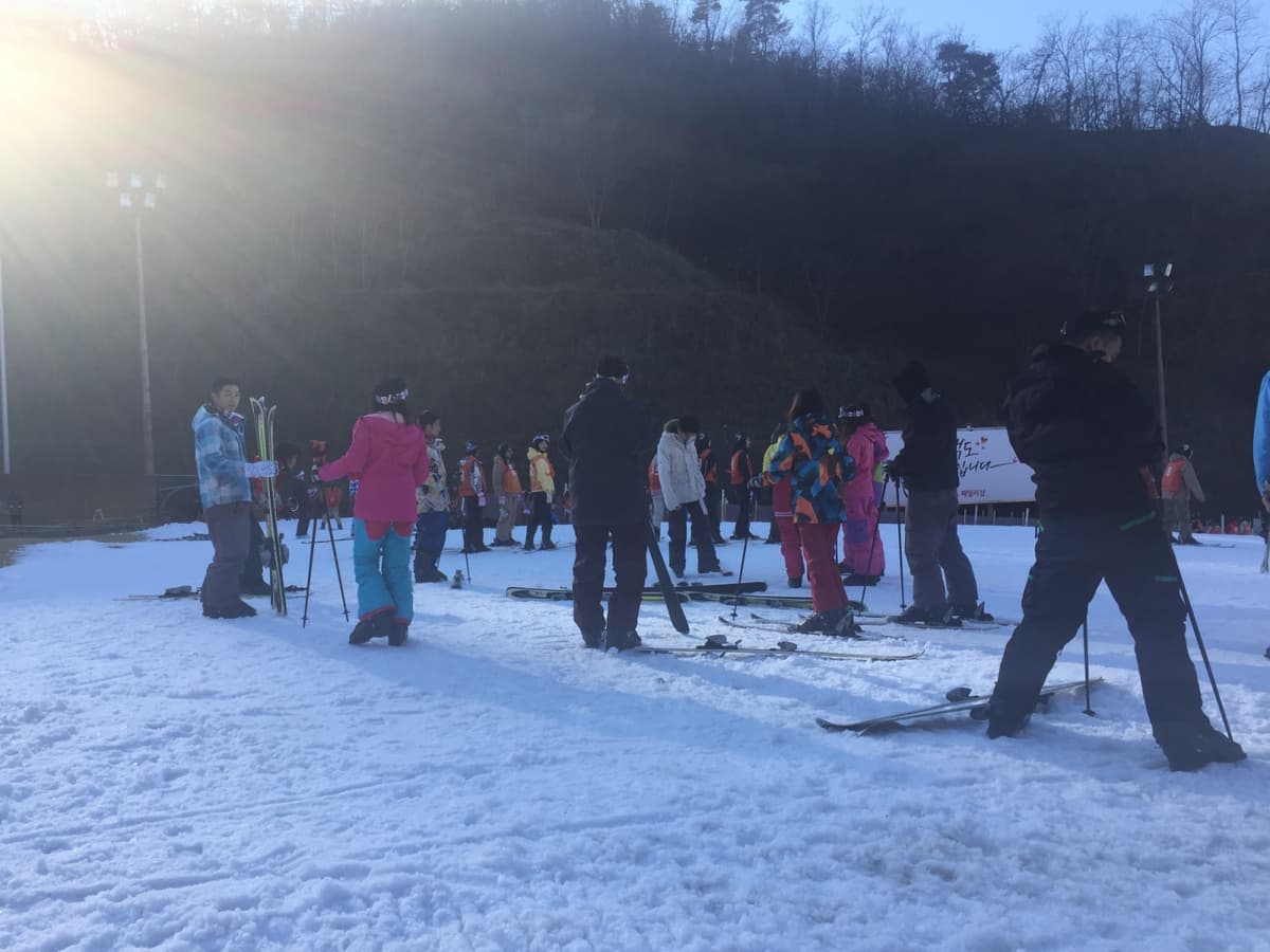 Elysian Gangchon Ski Resort and Nami Island Full-Day Tour from Seoul