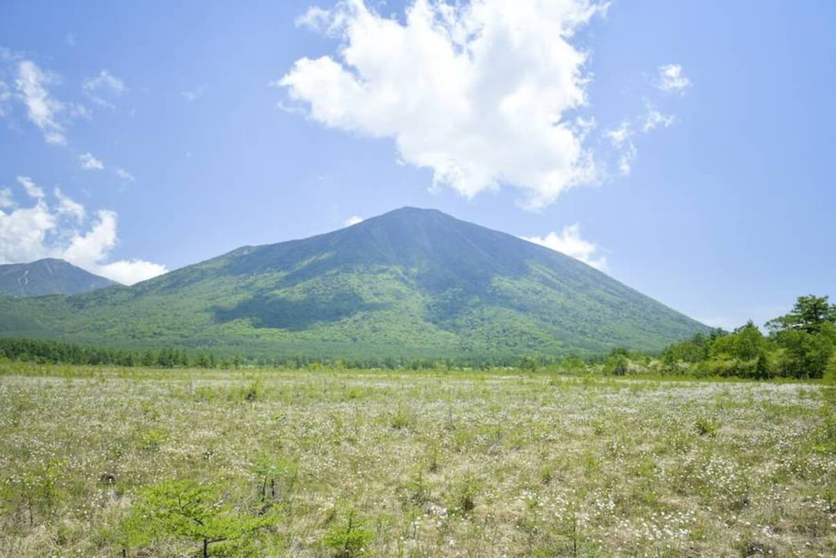 Nikko Pass All Area