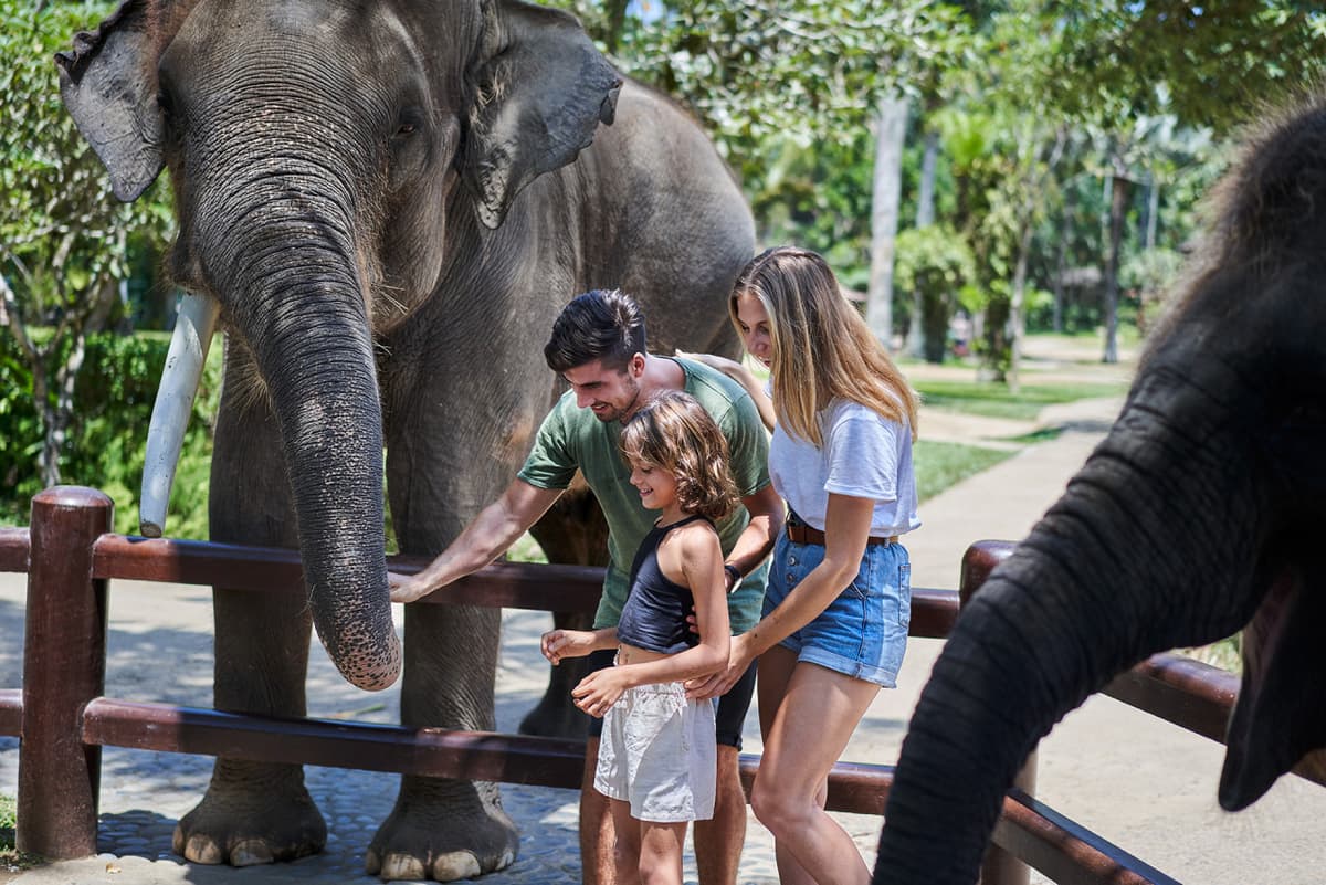 COMBO: Waterbom Bali + Mason Elephant Park Bali Tickets