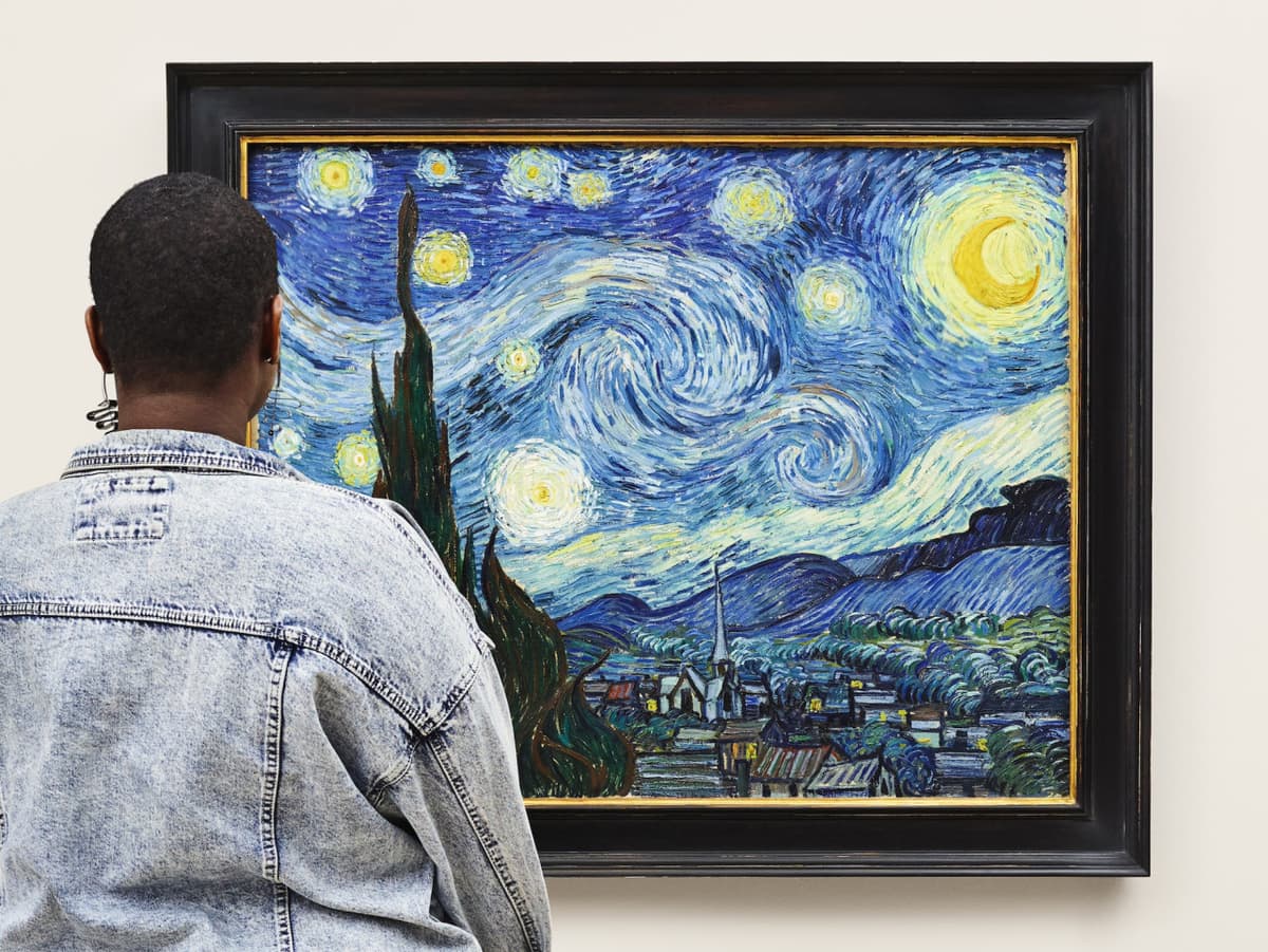 COMBO: American Museum of Natural History + The Museum of Modern Art (MoMA) Tickets
