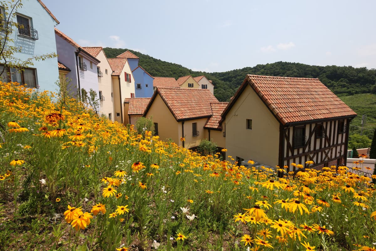 Nami Island, Petite France, and Italian Village Tour from Seoul