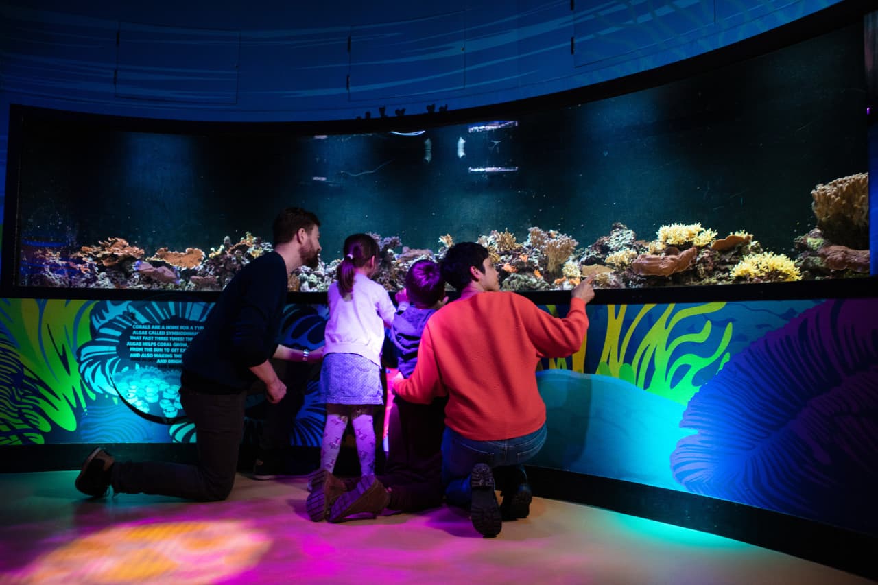 COMBO: Madame Tussauds London + SEA LIFE London Aquarium Ticket