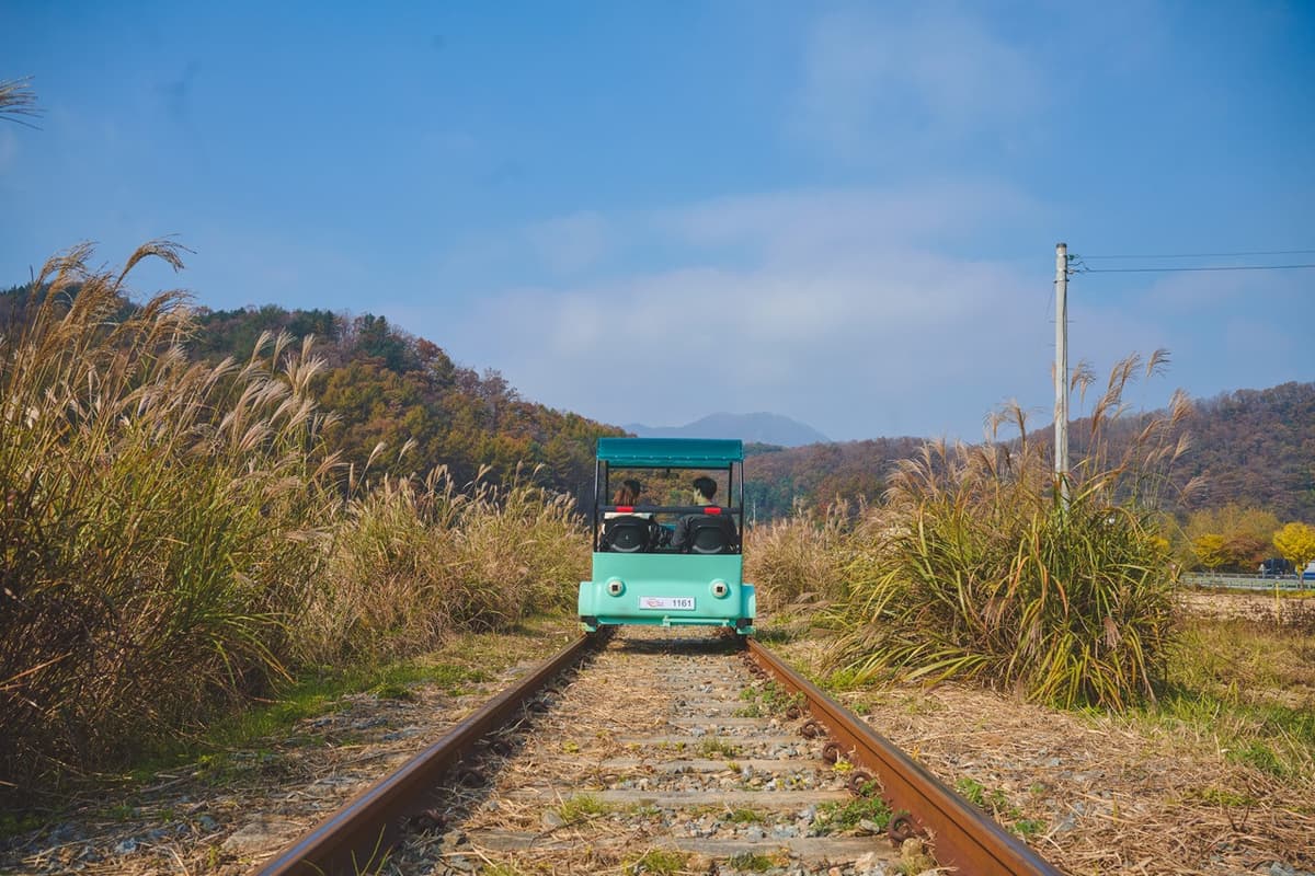 Nami Island, Mount Seorak, and Garden of Morning Calm Full-Day Tour from Seoul