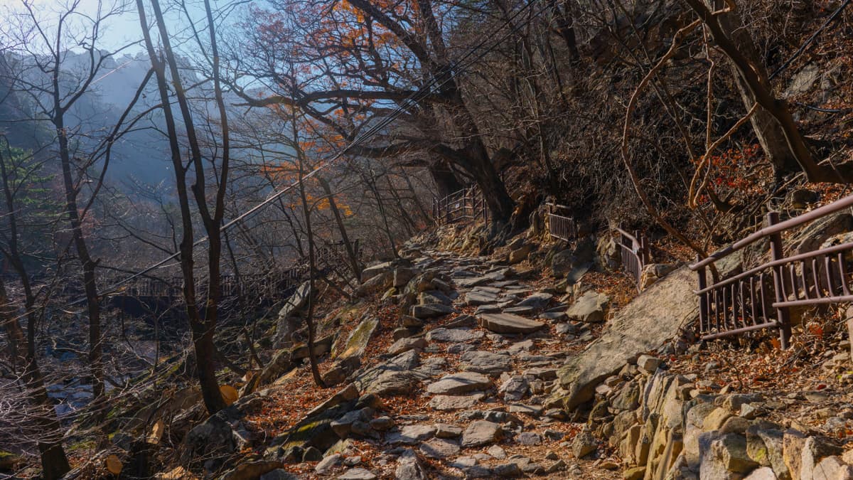 Mount Seorak and Naksansa Temple Tour from Seoul