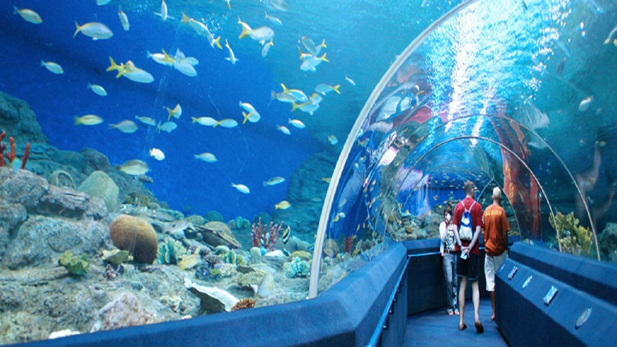 Underwater World Pattaya