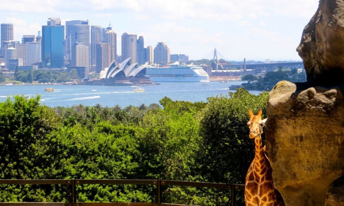Taronga Zoo Ticket with Optional Round Trip Ferry