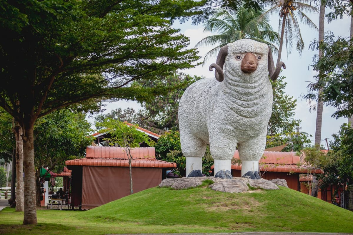 Pattaya Sheep Farm