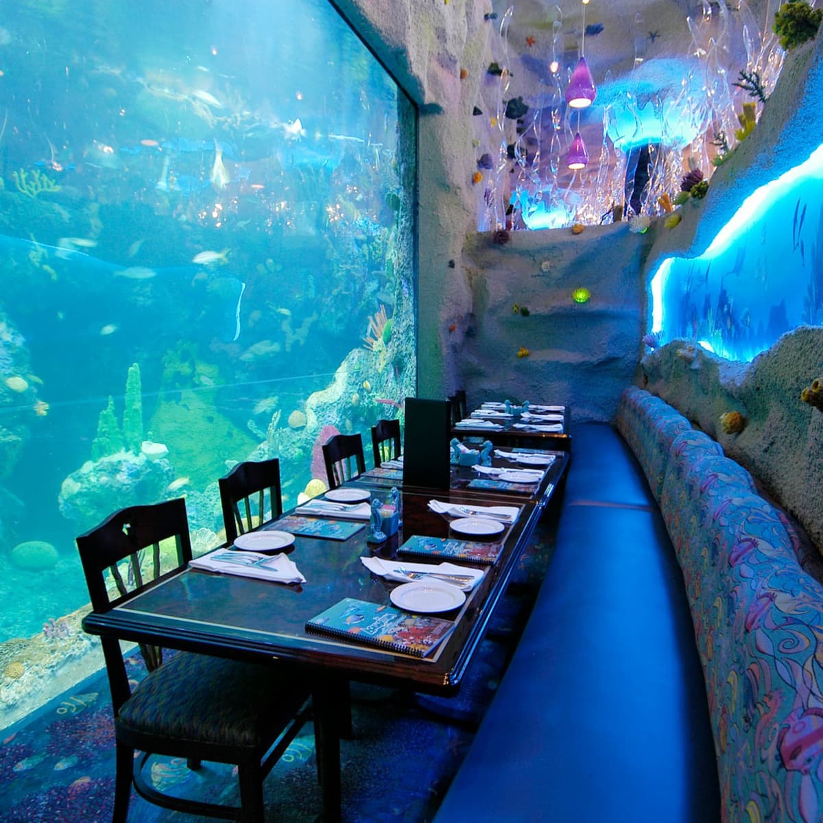 Downtown Aquarium Denver Ticket