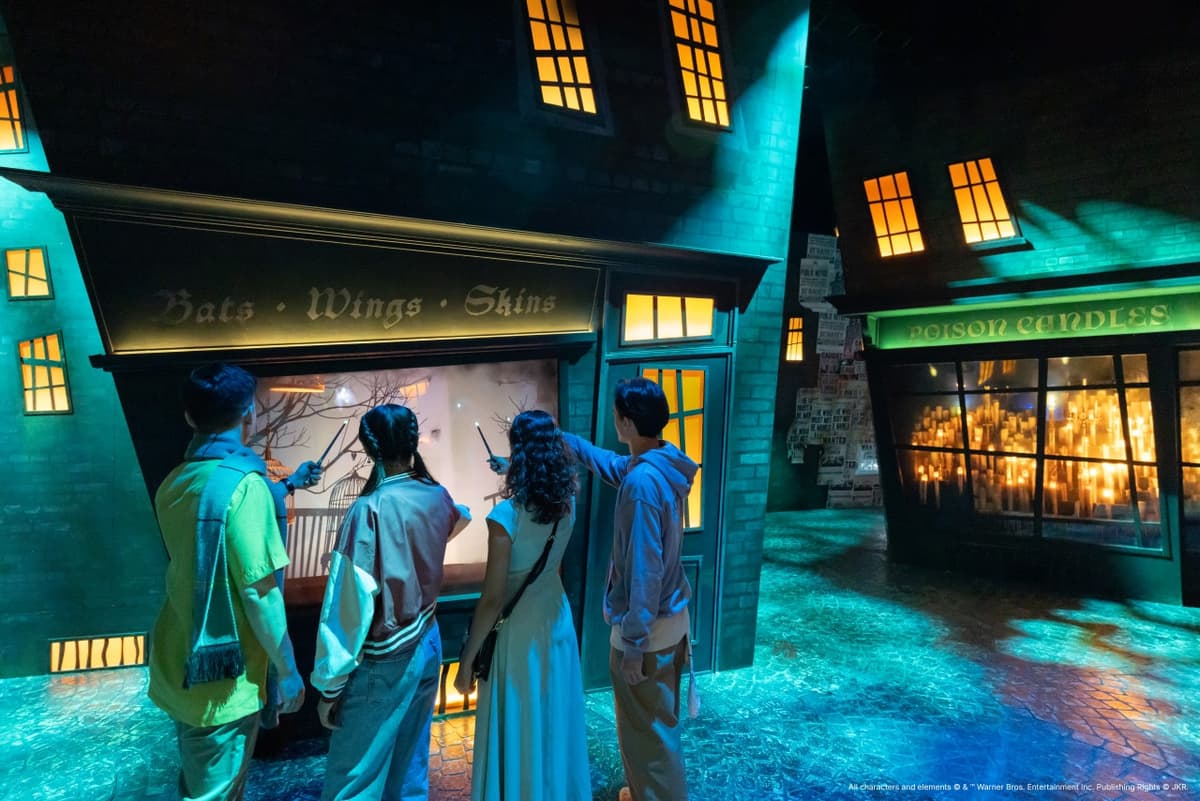 Harry Potter: Visions of Magic