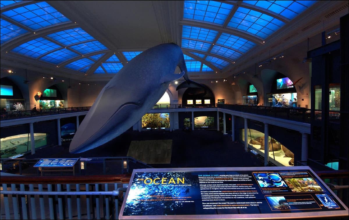 American Museum of Natural History Ticket