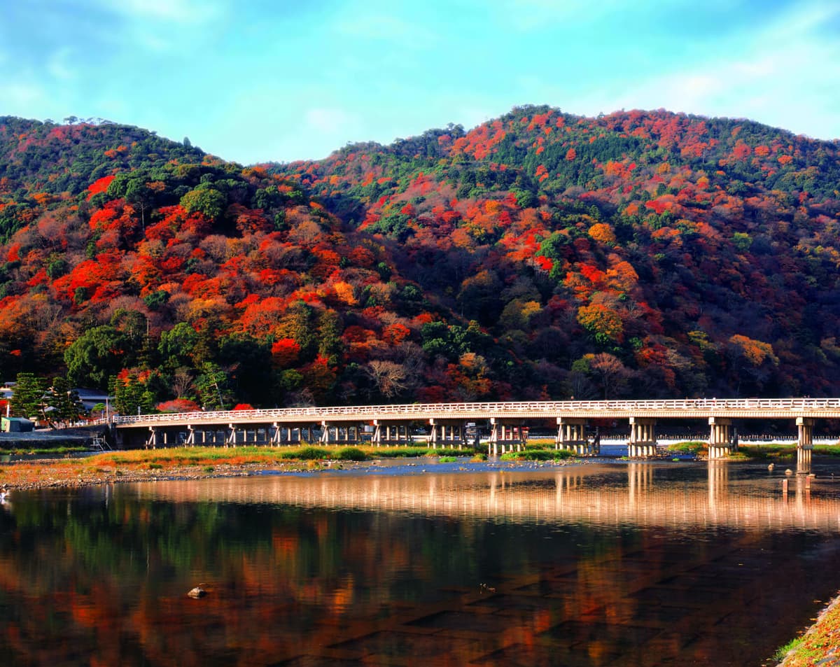 Hankyu One-Day Pass