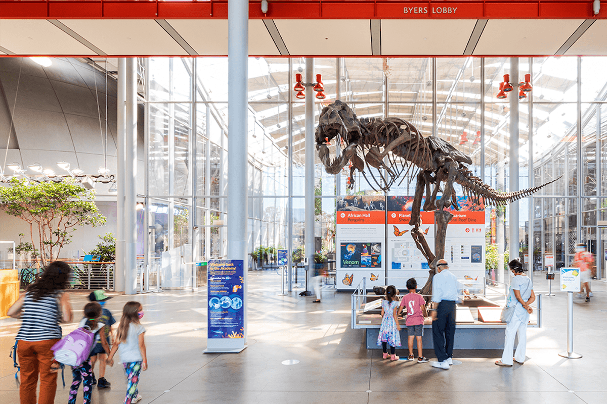 California Academy of Sciences Ticket