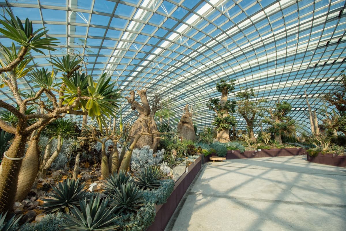 COMBO: Adventure Cove Waterpark + Gardens by the Bay Ticket