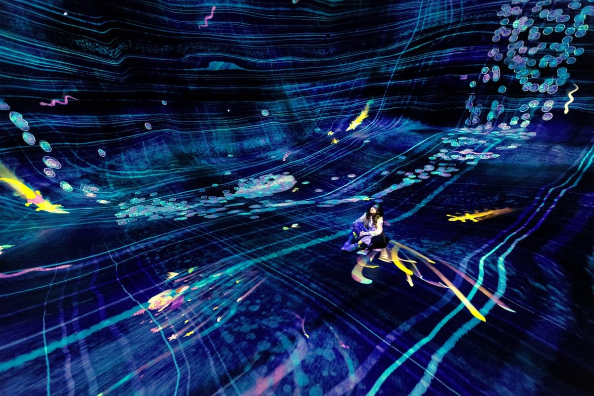 teamLab Phenomena Abu Dhabi Ticket