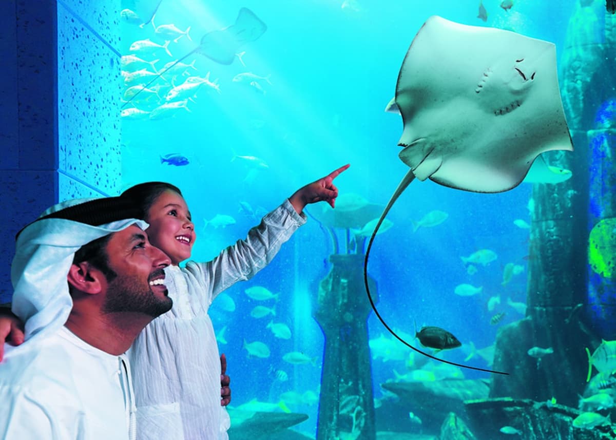 COMBO: IMG Worlds of Adventure with FREE Dubai Frame and Lost World Aquarium