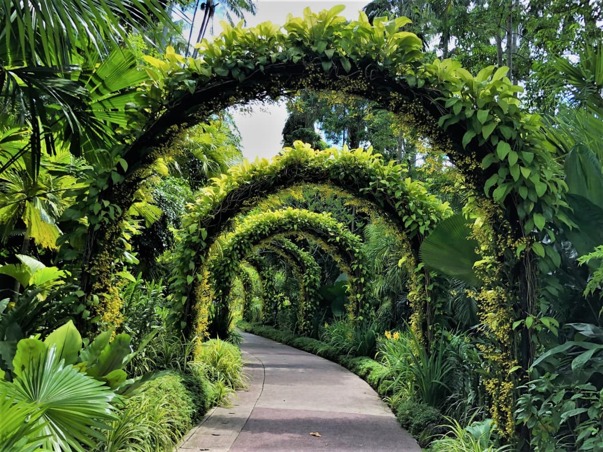 COMBO: Gardens by the Bay + National Orchid Garden Ticket