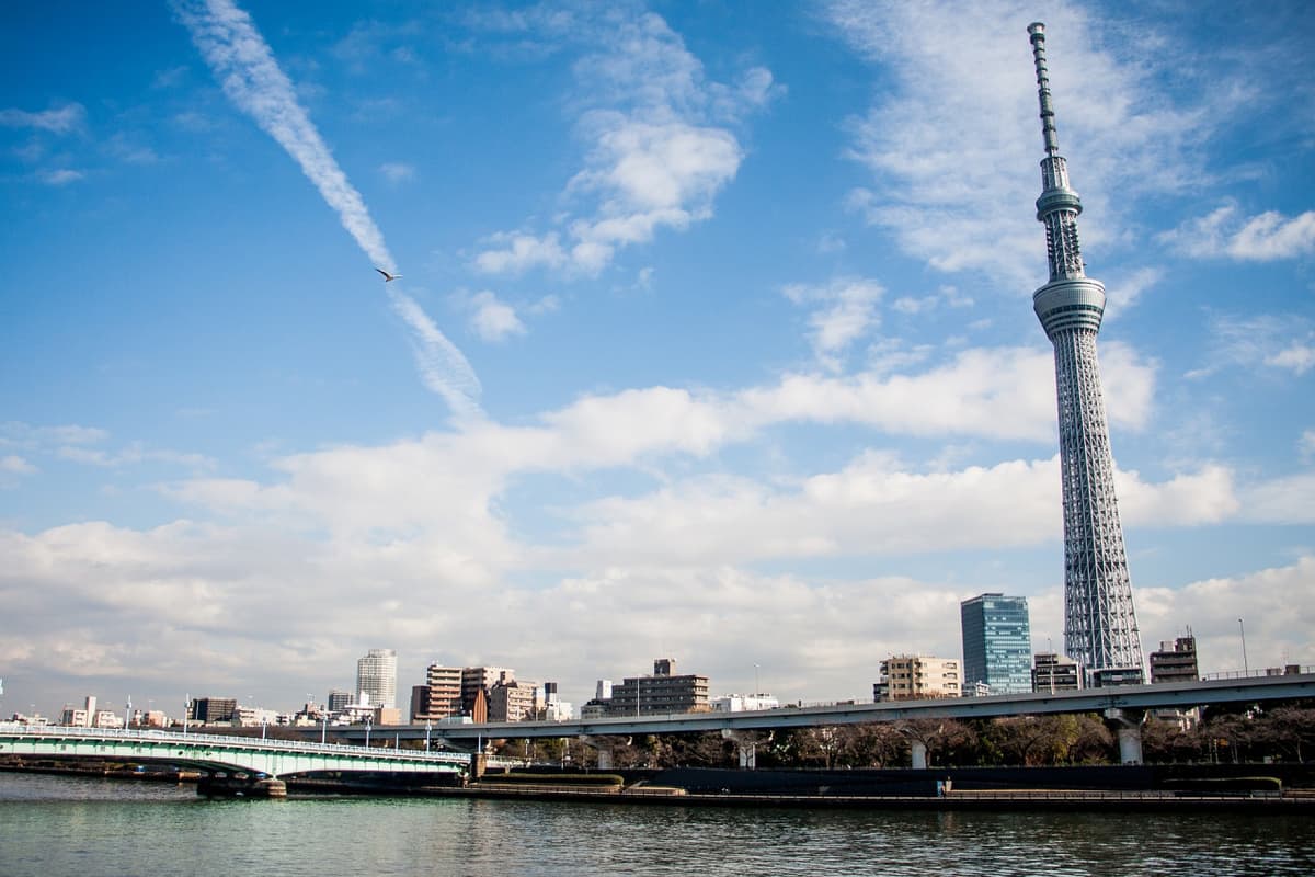 COMBO: Tokyo Skytree + Tembo Galleria Ticket