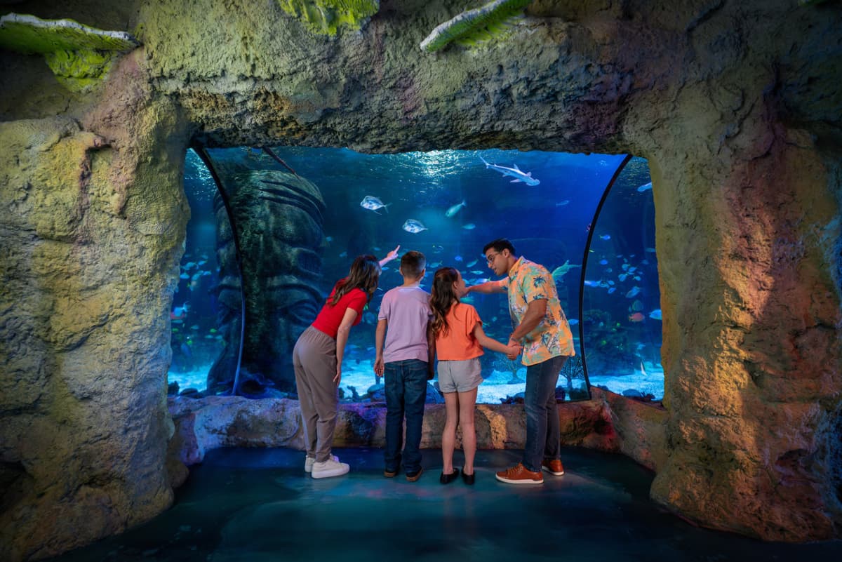 COMBO: Madame Tussauds Orlando + SEA LIFE Orlando Aquarium Ticket
