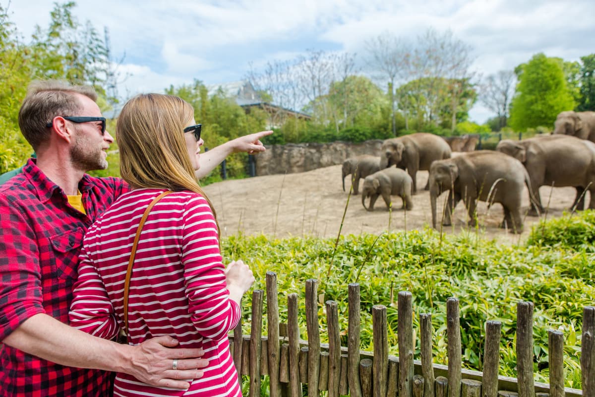 Go City Dublin All-Inclusive Pass: Save up to 50% on Attractions