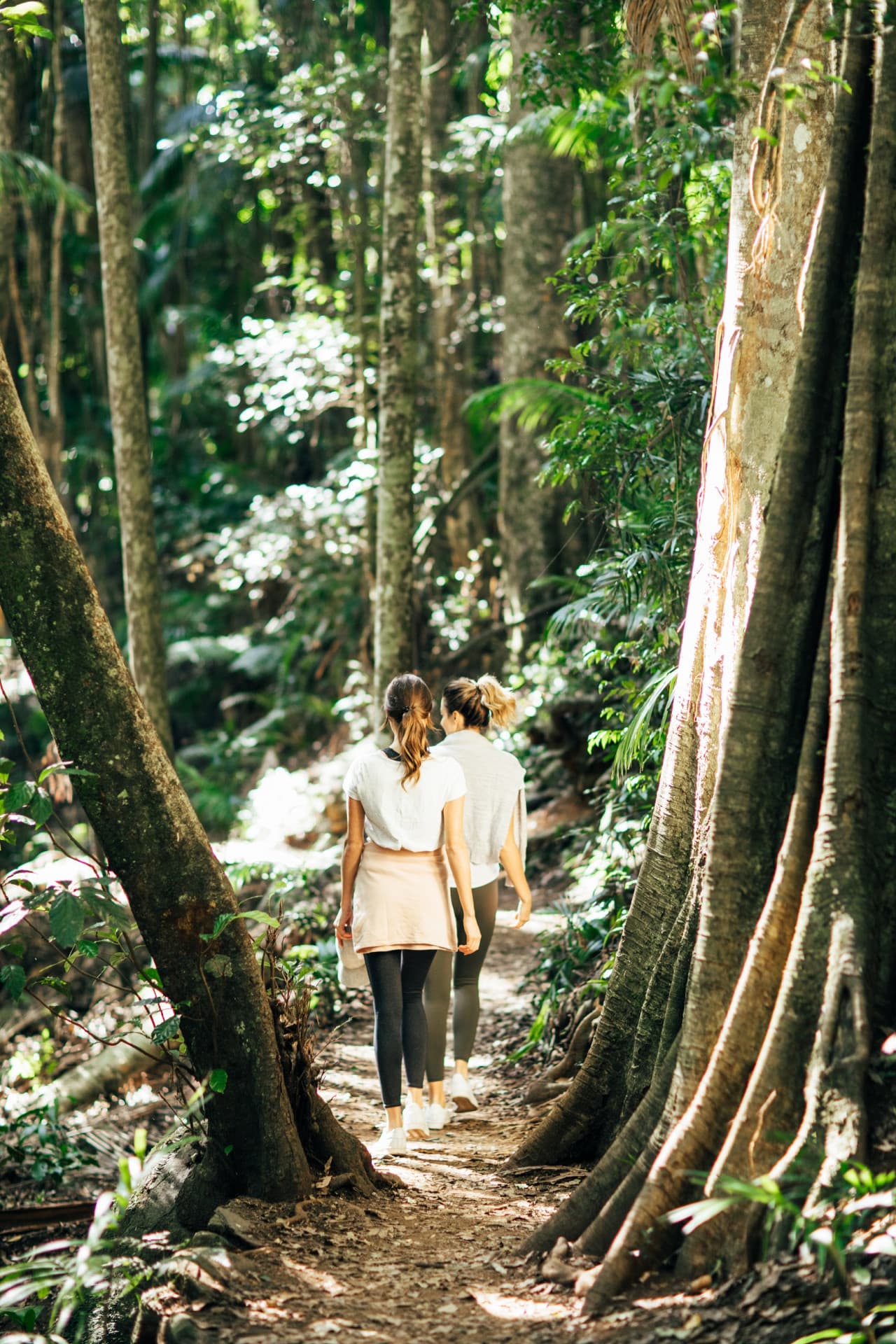 Springbrook National Park Tour: Natural Bridge and Waterfalls