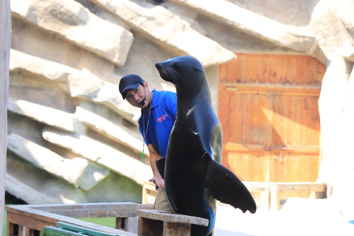 Emirates Park Zoo Ticket
