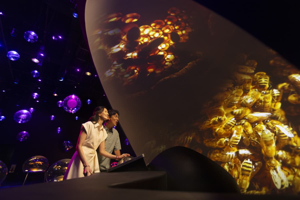 Exploria in Mandai Singapore Ticket