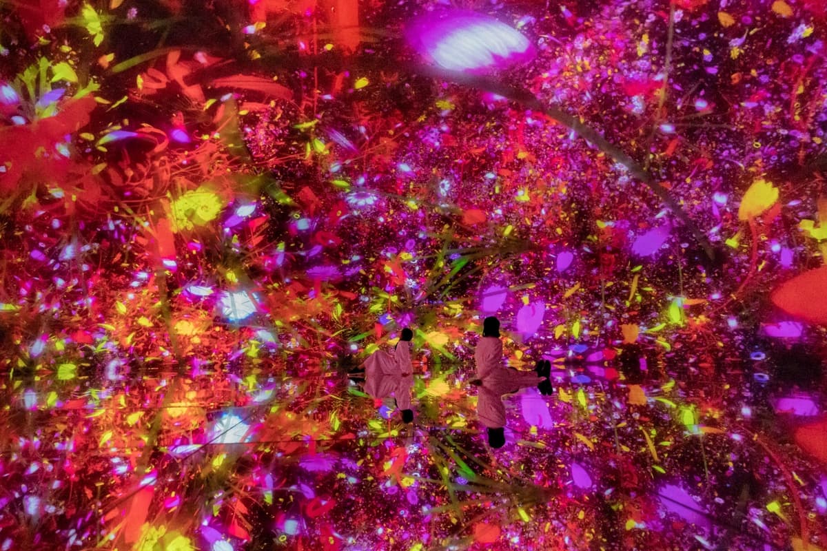 teamLab Planets TOKYO Ticket
