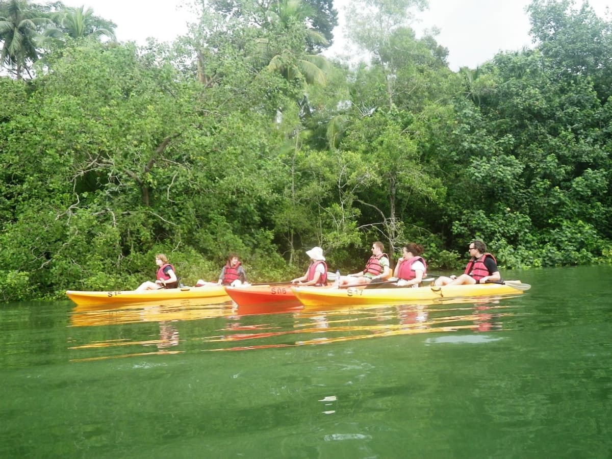 Pulau Ubin Kayaking