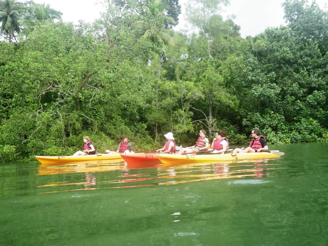 Pulau Ubin Kayaking