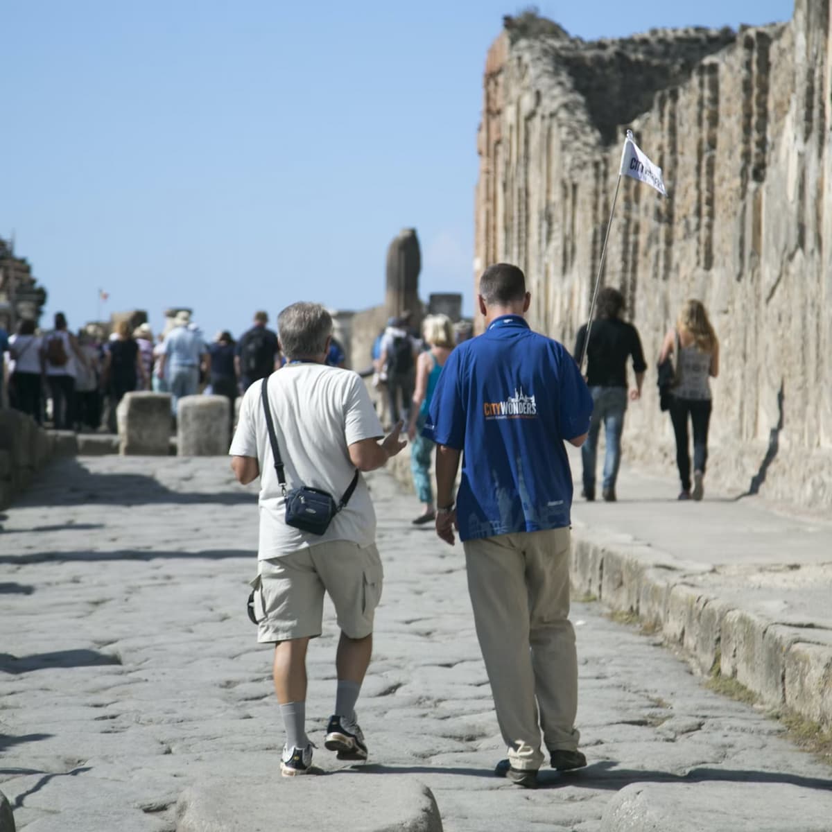 Pompeii & Mount Vesuvius: Entrance + Roundtrip from Rome