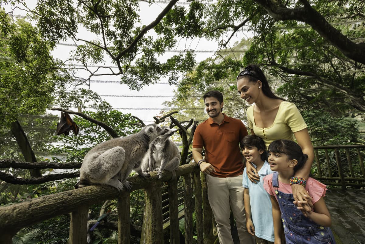 5-in-1 Day Pass: Night Safari + Singapore Zoo + Bird Paradise + River Wonders + Rainforest Asia