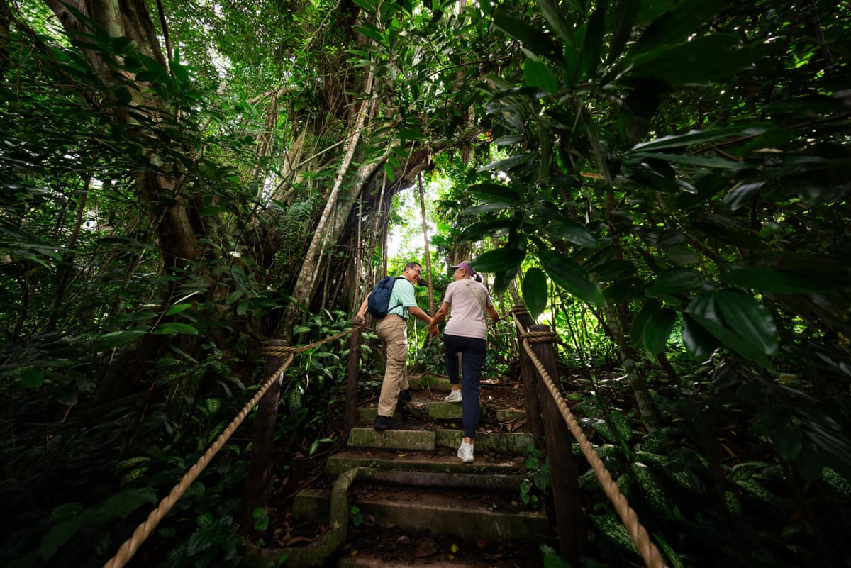 2-Park Destination Pass: Singapore Night Safari + Rainforest Wild Adventure Tickets