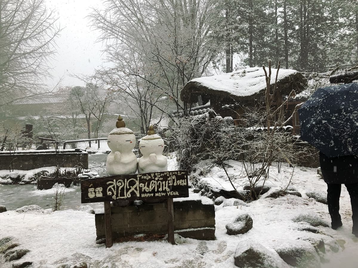 Nami Island, Mount Seorak, and Gapyeong Rail Bike Full-Day Tour from Seoul