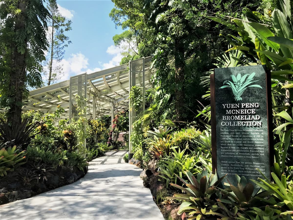 National Orchid Garden Ticket