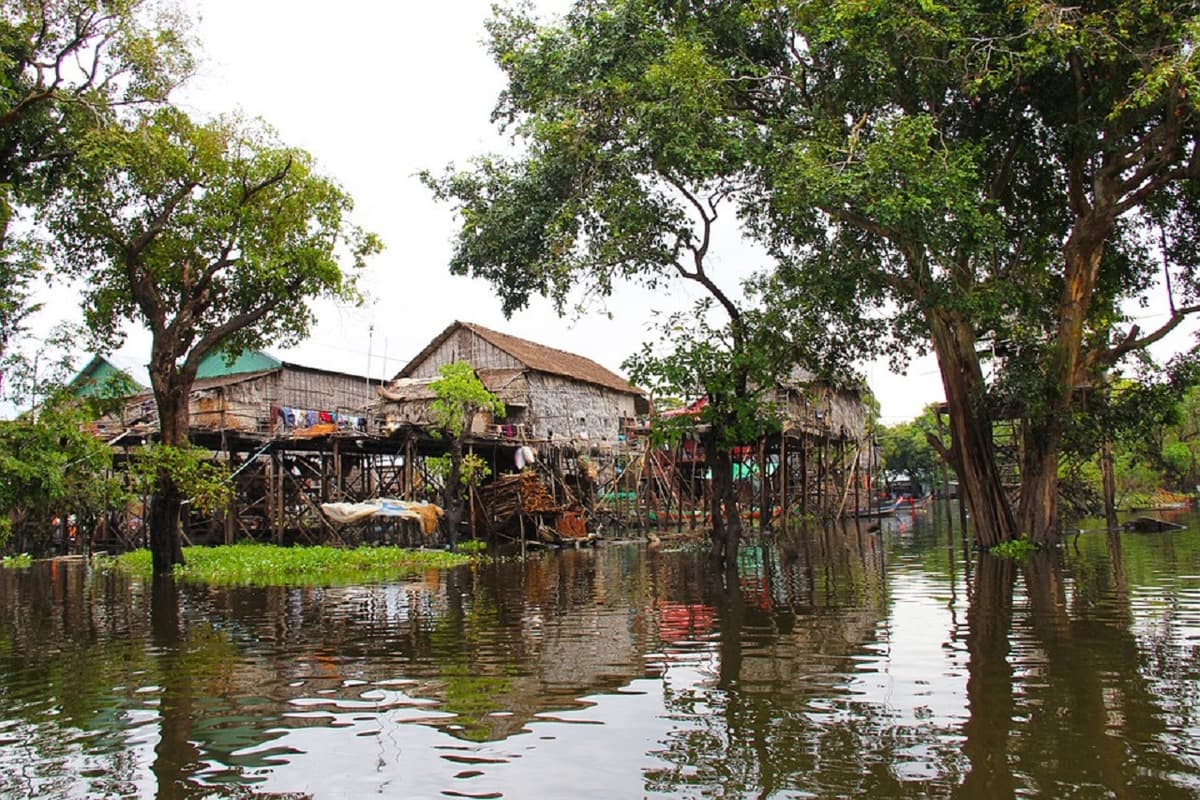 Tonle Sap Lake and Kompong Phluk Floating Village Tour