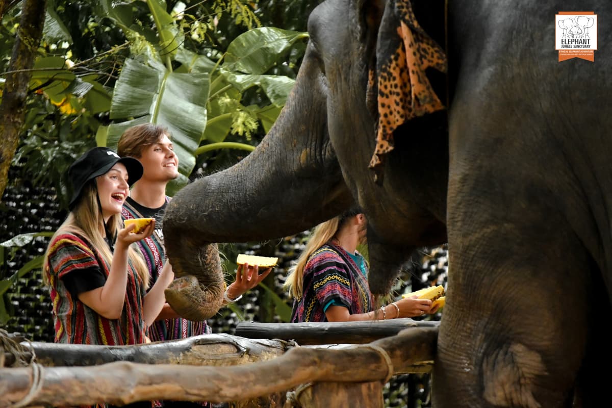Elephant Jungle Sanctuary Phuket