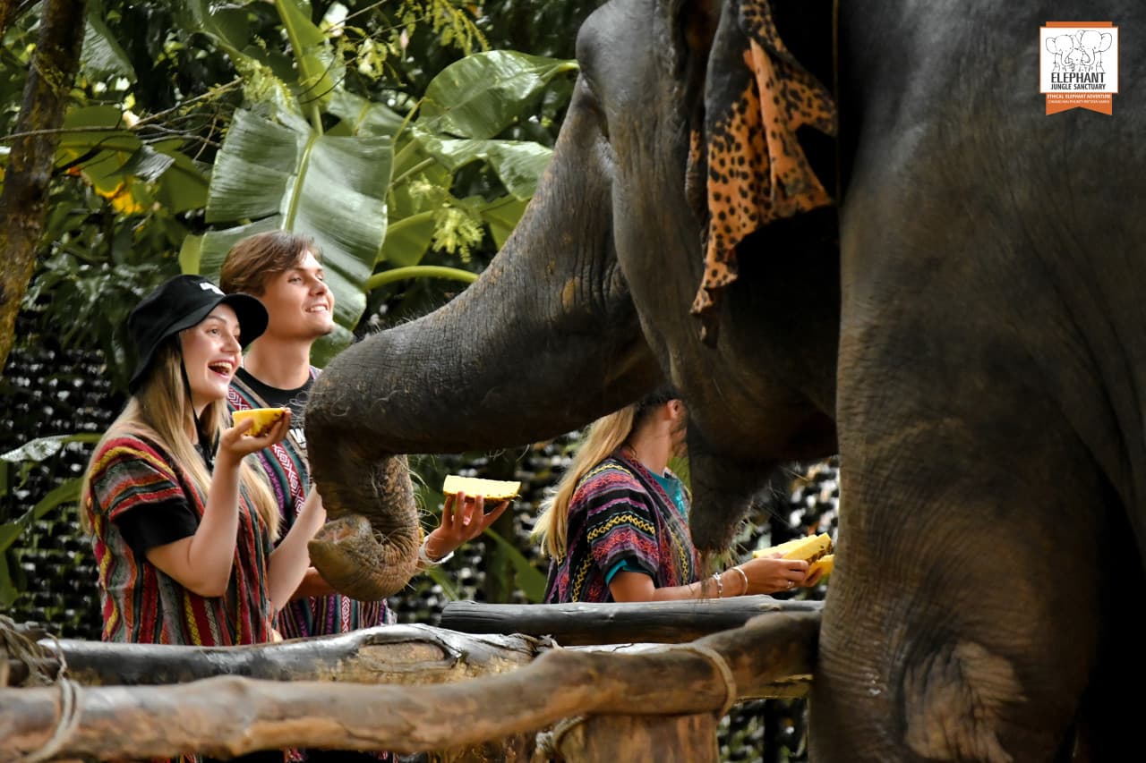Elephant Jungle Sanctuary Phuket