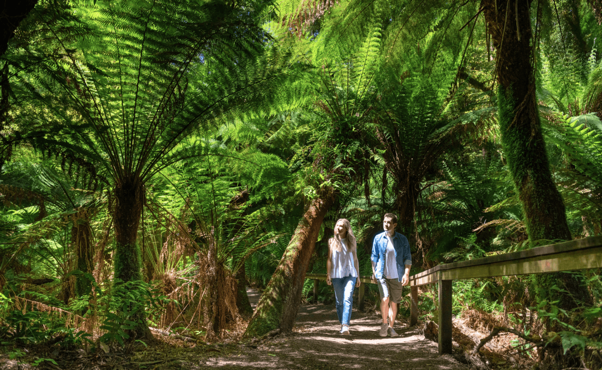 Great Ocean Road Tour from Melbourne