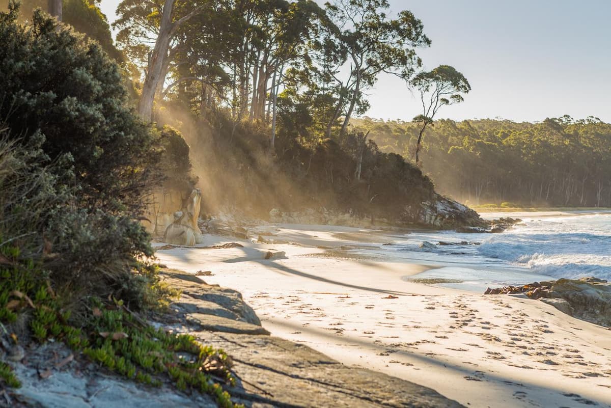Bruny Island Full-Day Tour from Hobart